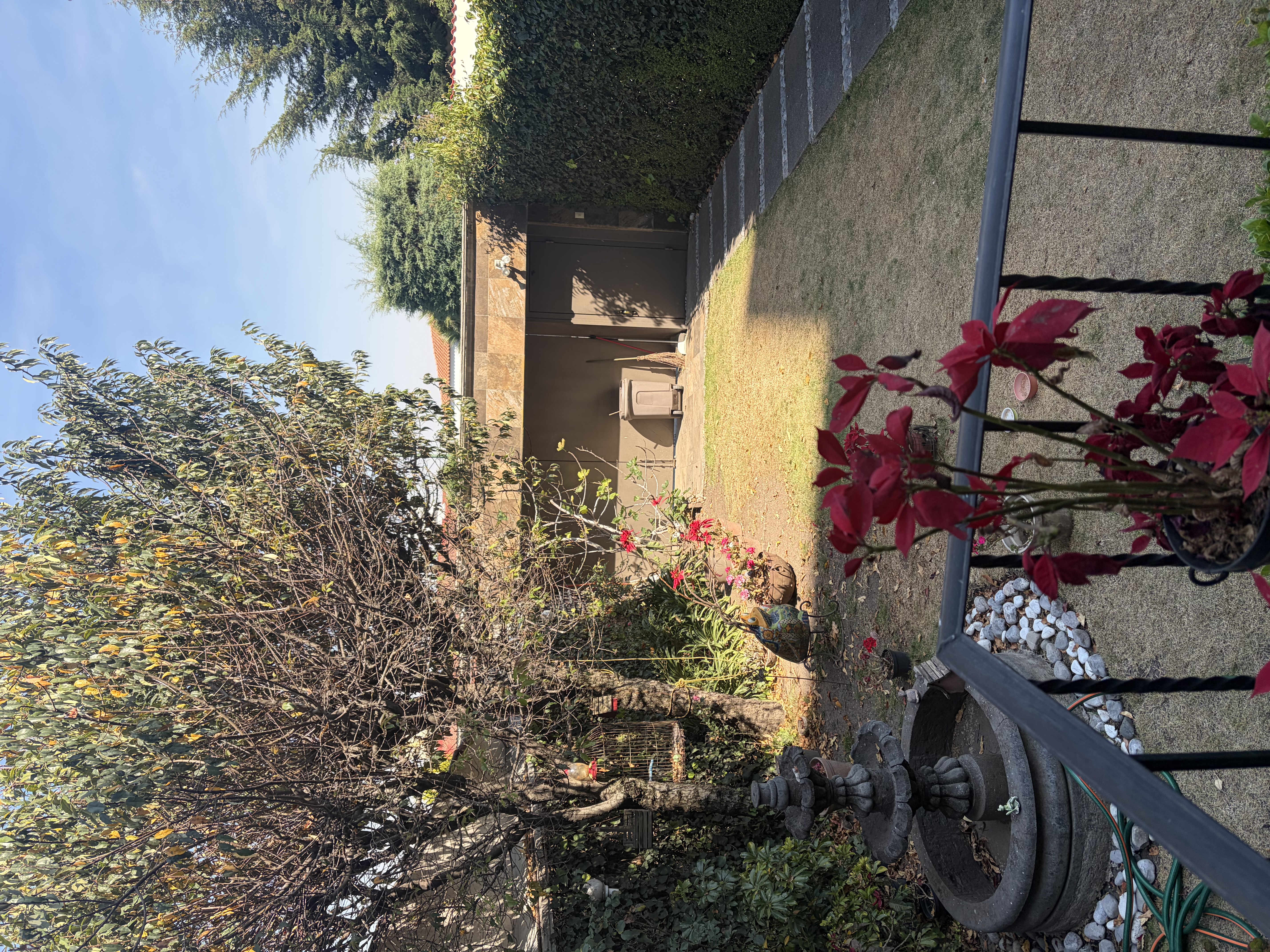 Foto 20